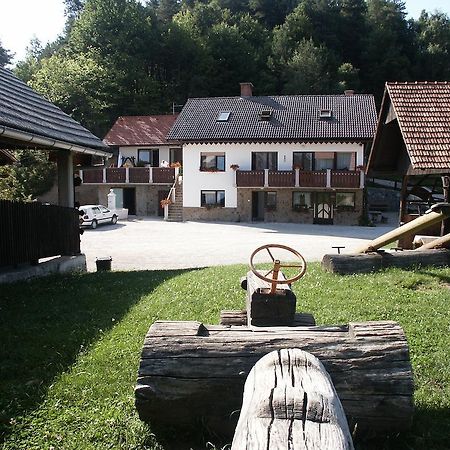 Pri Lazarju Farm Stay Podgrad  Exterior foto