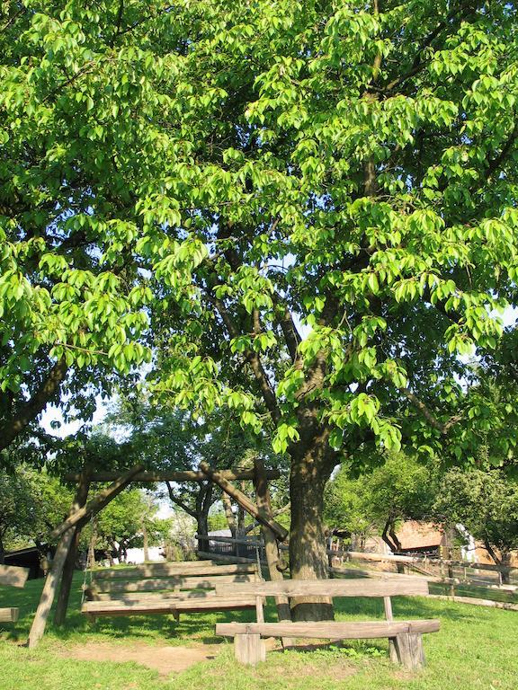 Pri Lazarju Farm Stay Podgrad  Exterior foto